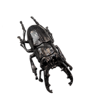 Brooch Black Stag Beetle with 1pc Diamond
