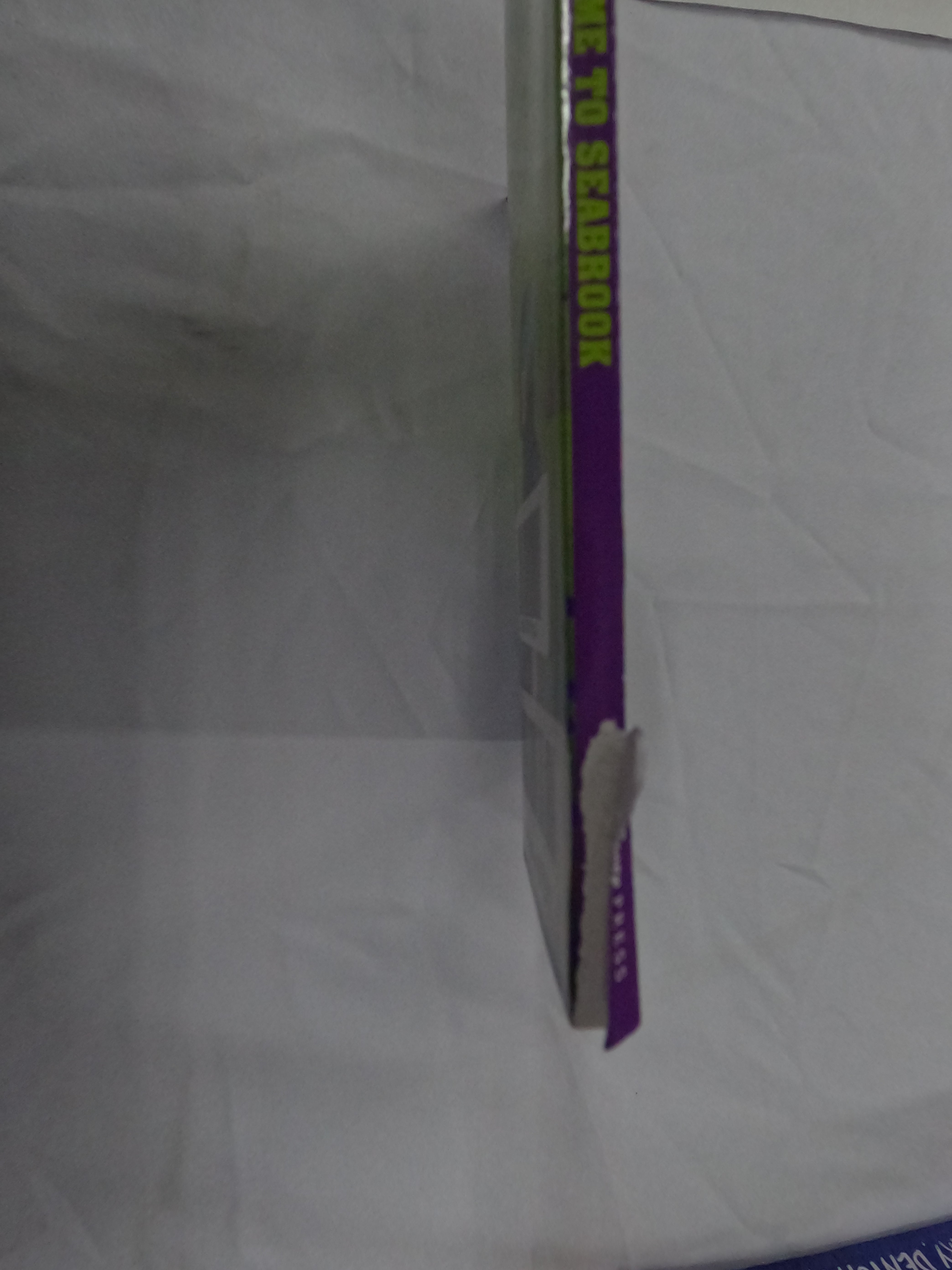 Disney Zombies: Welcome To Seabrook Paperback