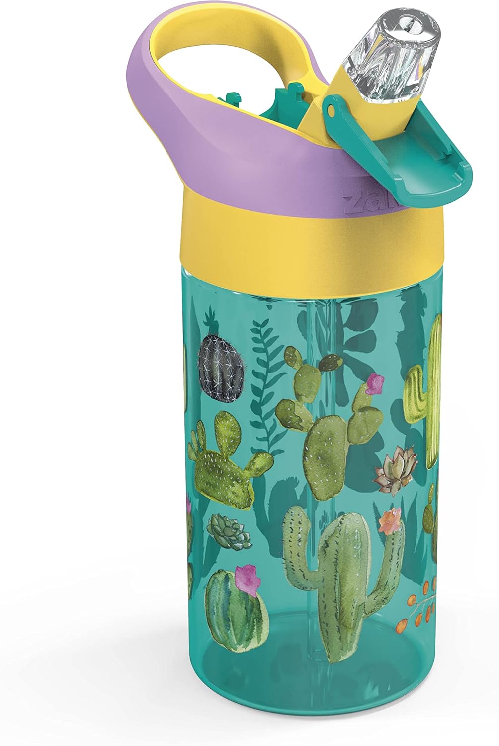 Zak Designs 16oz Riverside Desert Life Kids Water Bottle with Straw and Built in Carrying Loop Made of Durable Plastic, Leak-Proof Design for Travel, 2PK Set