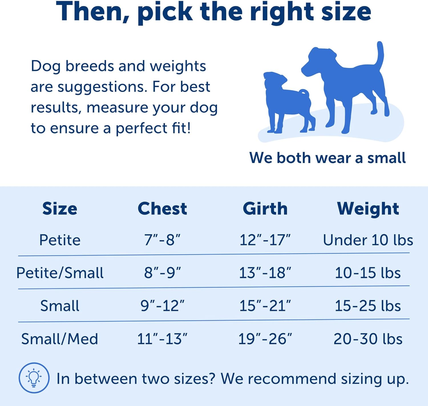 PetSafe Easy Walk Harness For Dogs Medium RaspberryGray
