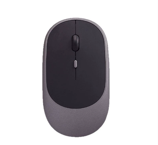 Computer Mouse Flat