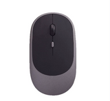 Computer Mouse Flat