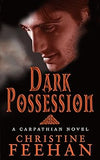 Dark Possession: Number 18 in series Paperback