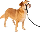 PetSafe Gentle Leader No-Pull Dog Headcollar - The Ultimate Solution to Pulling - Redirects Your Dog's Pulling For Easier Walks - Helps You Regain Control - Petite, Black