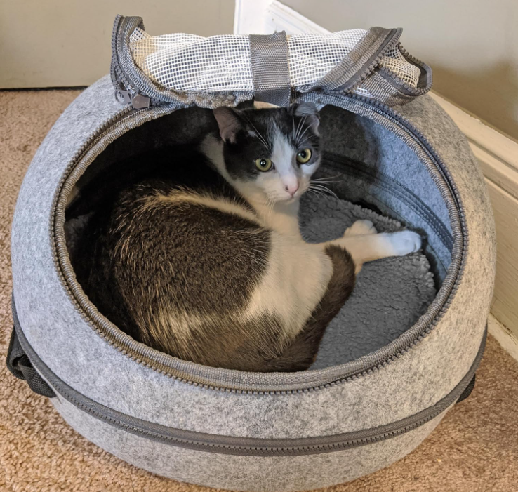 SPOT Doc & Phoebe’s 3-in-1 Sleep & Go Cat Carrier