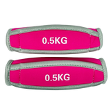 Wrist Weight Bar 0.5kg x 2