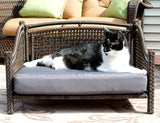 Iconic Pet Maharaja Rattan Pet Day Bed