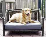 Iconic Pet Maharaja Rattan Pet Day Bed