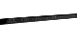 RayBan RB3689 Sunglasses RB3689 004/S2 58 14