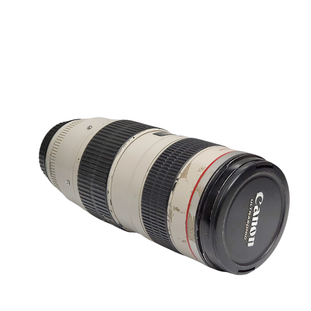 Canon EF 70-200mm f/2.8L IS III USM