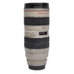 Canon EF 70-200mm f/2.8L IS III USM