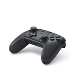 Nintendo HACAFSSKA Switch Pro Gaming Controller