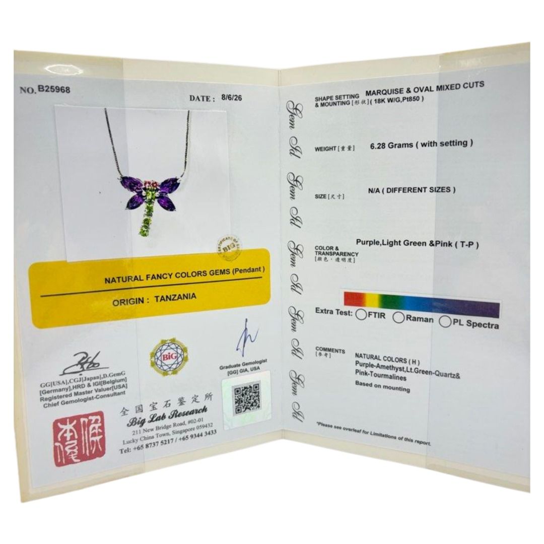 18KWG/PT850 Amethyst Dragonfly Necklace Secondary image