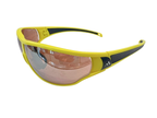 Adidas Sport Sunglasses