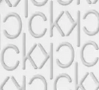 Calvin Klein Women Collection Earring