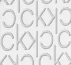 Calvin Klein Women Collection Earring