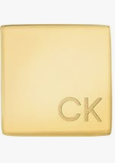 Calvin Klein Cube Earring