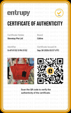 Celine Micro Luggage Tote Bag-Leather Orange
