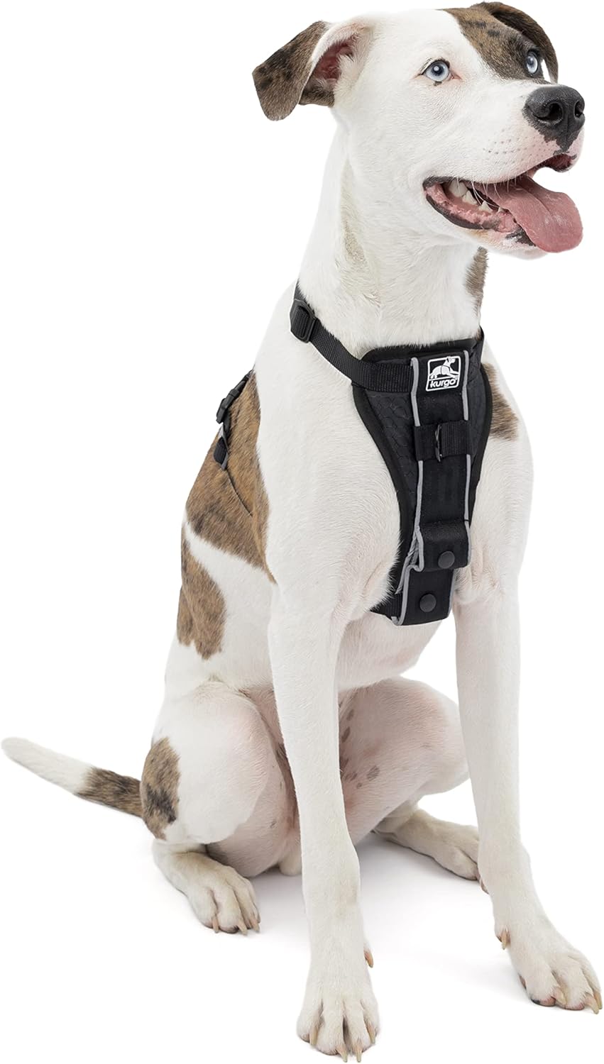 Kurgo TruFit Smart Dog Walking Harness Quick Release Black Medium Main image