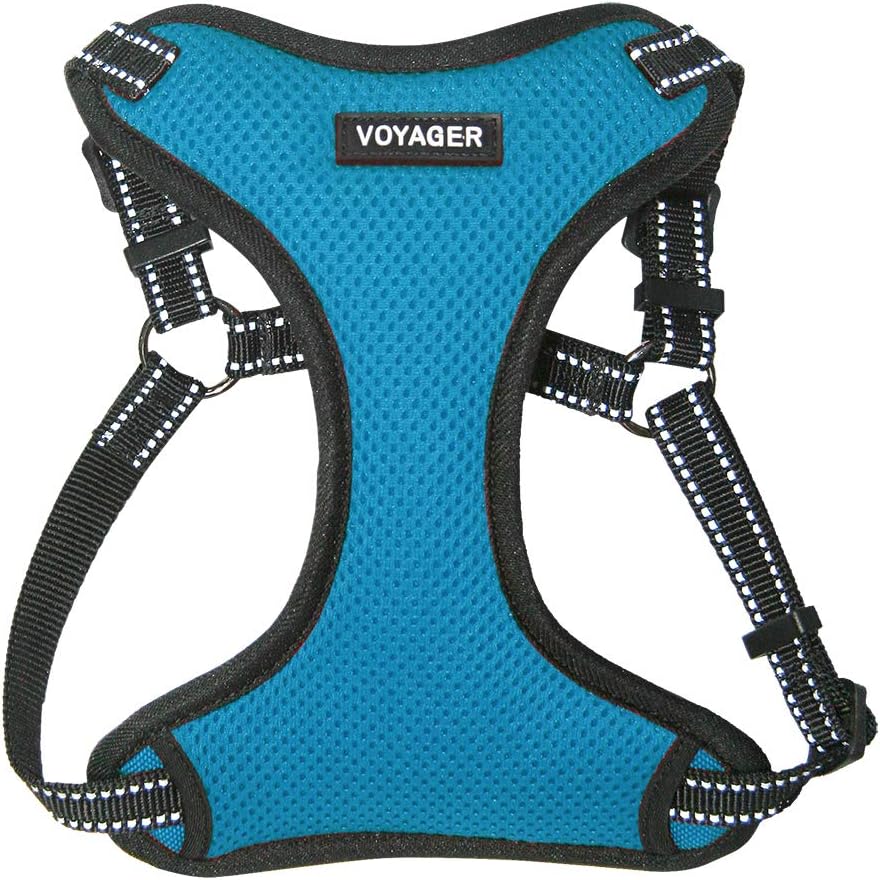 Voyager StepIn Flex Dog Harness Medium Dogs Turquoise Main image