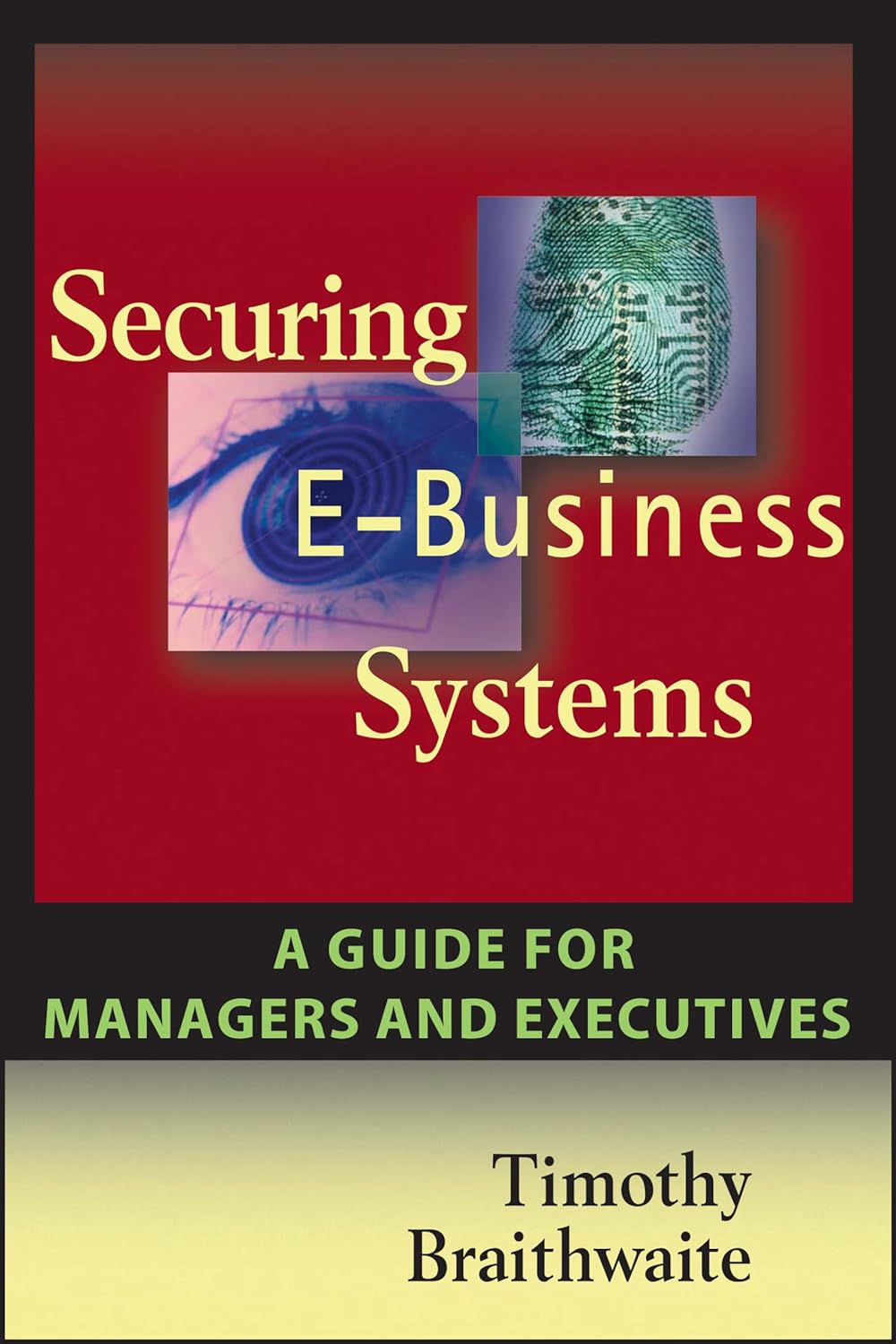Securing E Business Systems A Guide for Managers and Executives Main image
