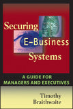 Securing E Business Systems A Guide for Managers and Executives