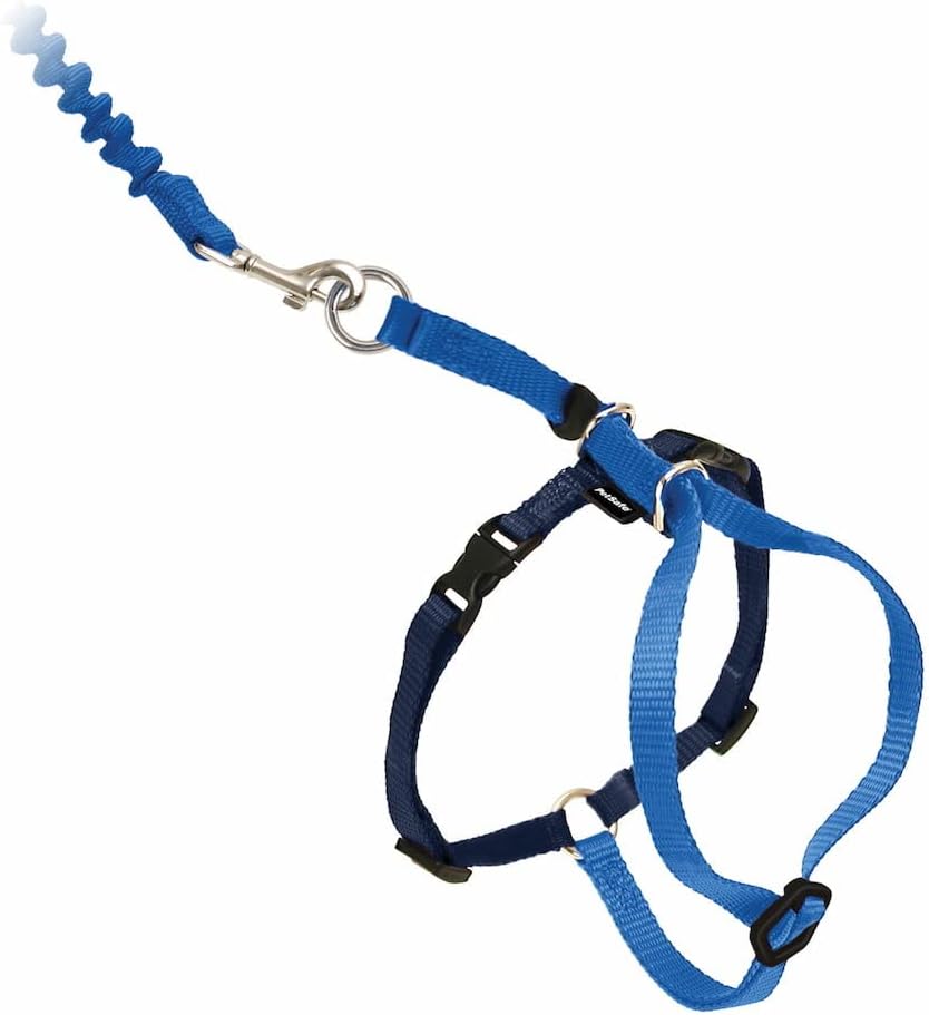 PetSafe Come With Me Kitty Harness And Bungee Leash Harness For Cats Large Royal BlueNavy Main image
