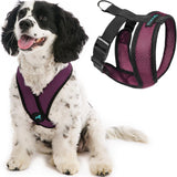 Gooby Comfort X Head In Harness Purple Large No Pull Small Dog Harness