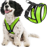 Gooby Comfort X Head In Harness Green Large For Small Dogs