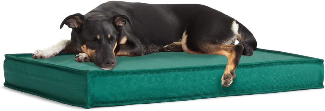 BarkBox Orthopedic Comfort Outdoor Dog Bed Medium Green Main image