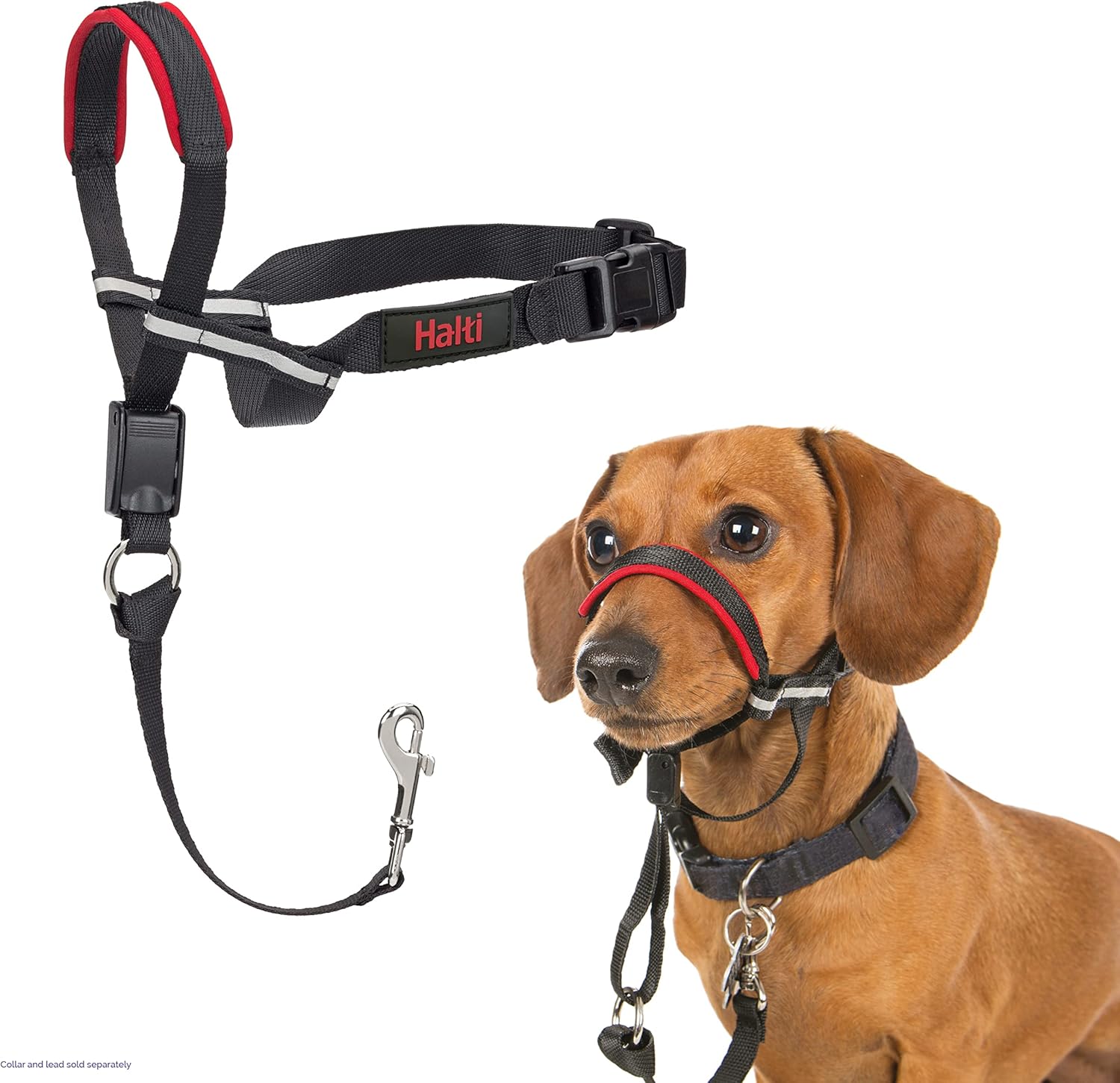 The Company Of Animals Halti Head Collar For Small Dogs BlackRed Main image