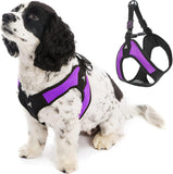 Gooby Escape Free Easy Fit Harness Purple Medium