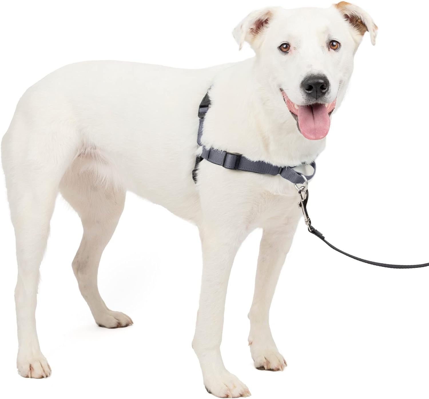 PetSafe Easy Walk Deluxe Dog Harness MediumLarge Steel Main image