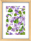 Poster Hub Watercolour Purple Flower Mallow Art Decor