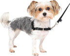 PetSafe Easy Walk Harness PetiteSmall BlackSilver For Dogs