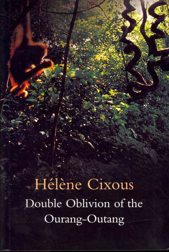 Double Oblivion of the Ourang Outang Main image