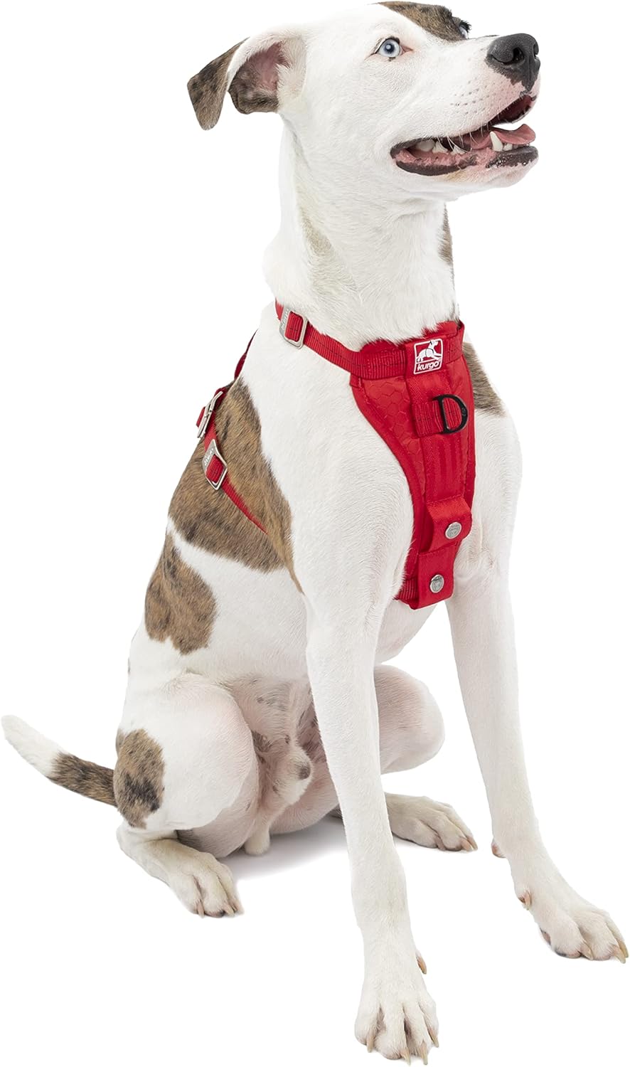 Kurgo Dog Harness TruFit Smart Auto And Walking Harness Enhanced Strength V3 Medium Red Main image