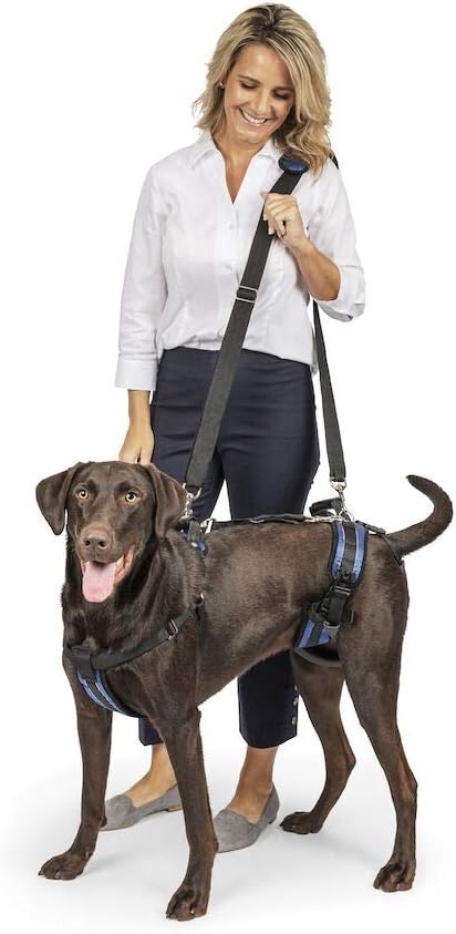 PetSafe CareLift Support Harness Full Body Dog Lift Harness With Handle And Shoulder Sling Large Main image