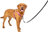 PetSafe 3in1 Dog Harness Plum Large