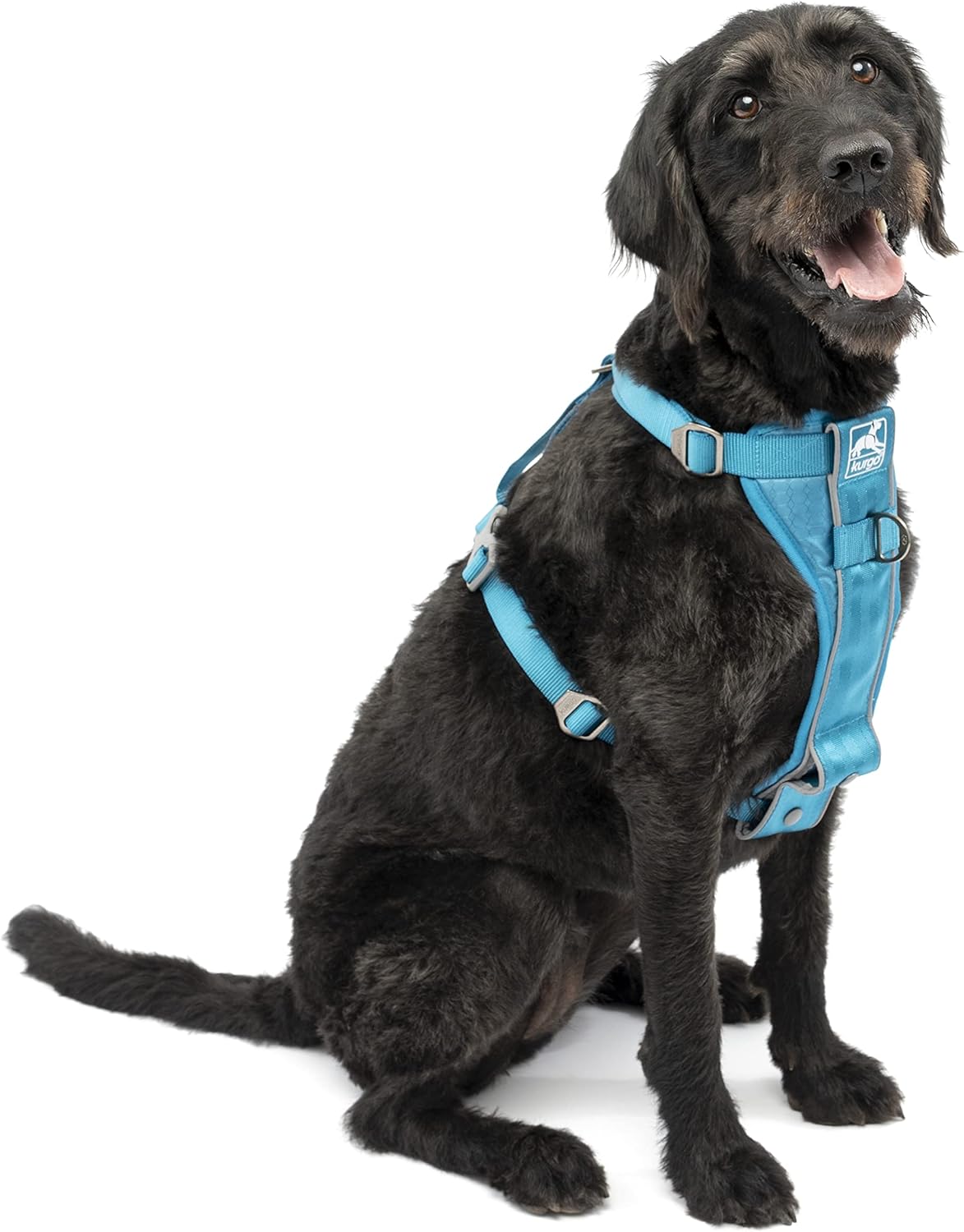 Kurgo TruFit Smart Harness Dog Harness Blue Large Main image