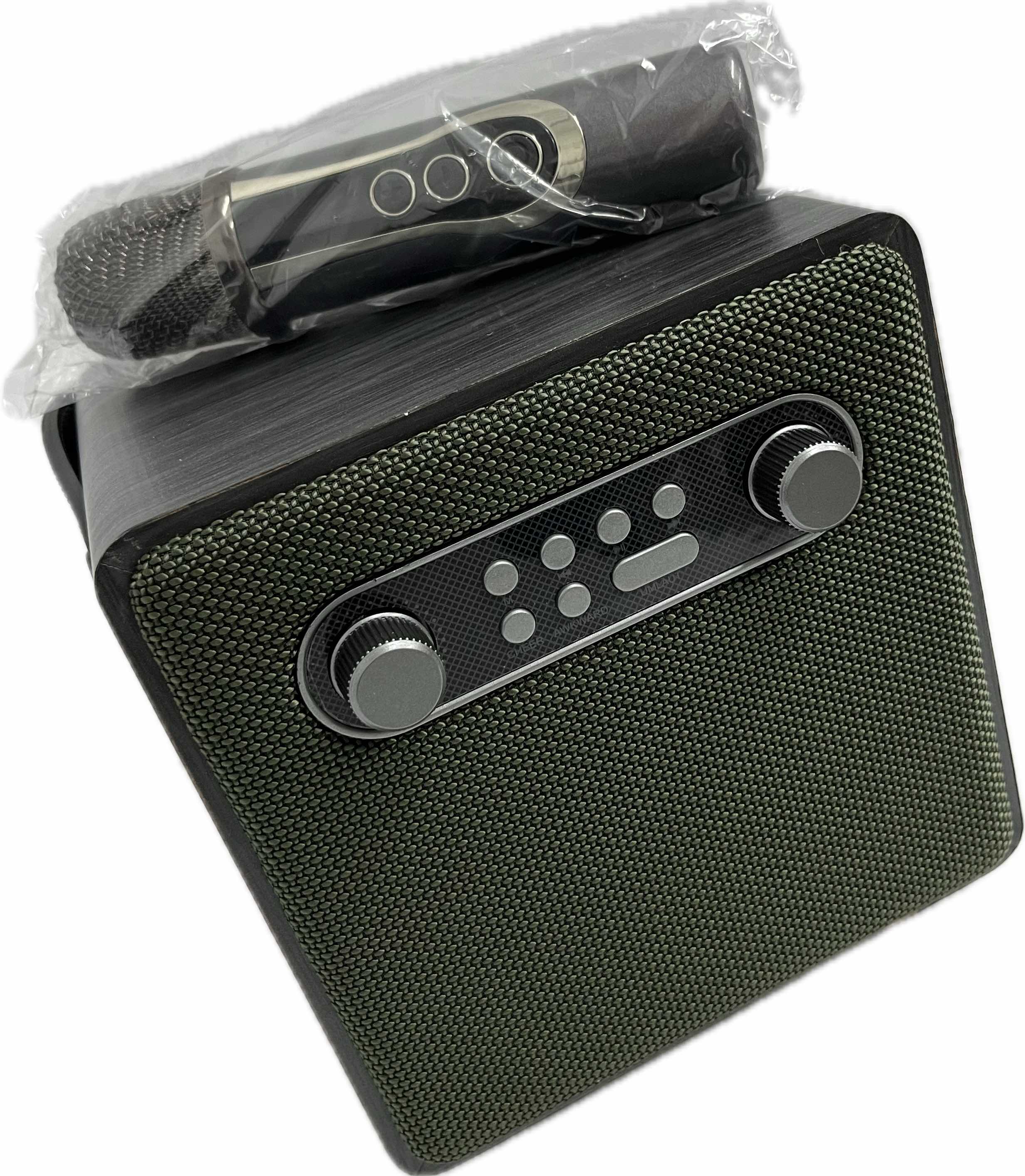 Brodu BTS1688 iKaraoke Box Professional Speaker Main image