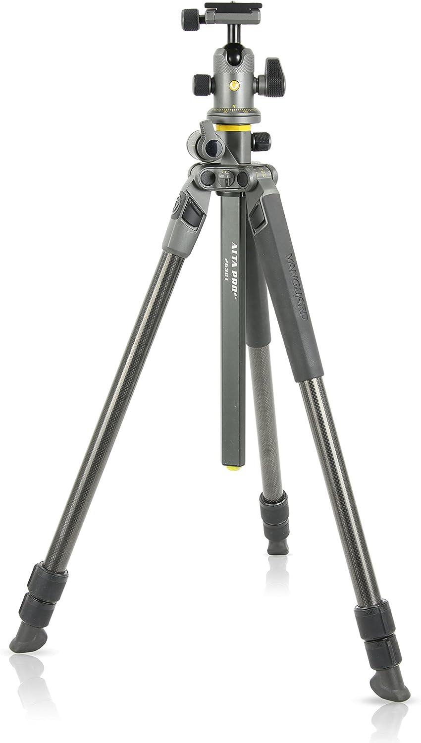 Vanguard Alta Pro 2+ 263CB 100 Carbon Fiber Tripod With Alta BH100 Ball Head And MultiAngle Center Column Main image