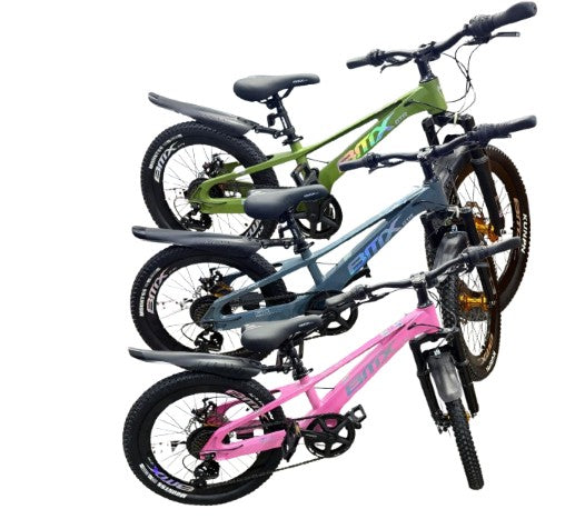 Mountain Bike-20in/BMX Main image