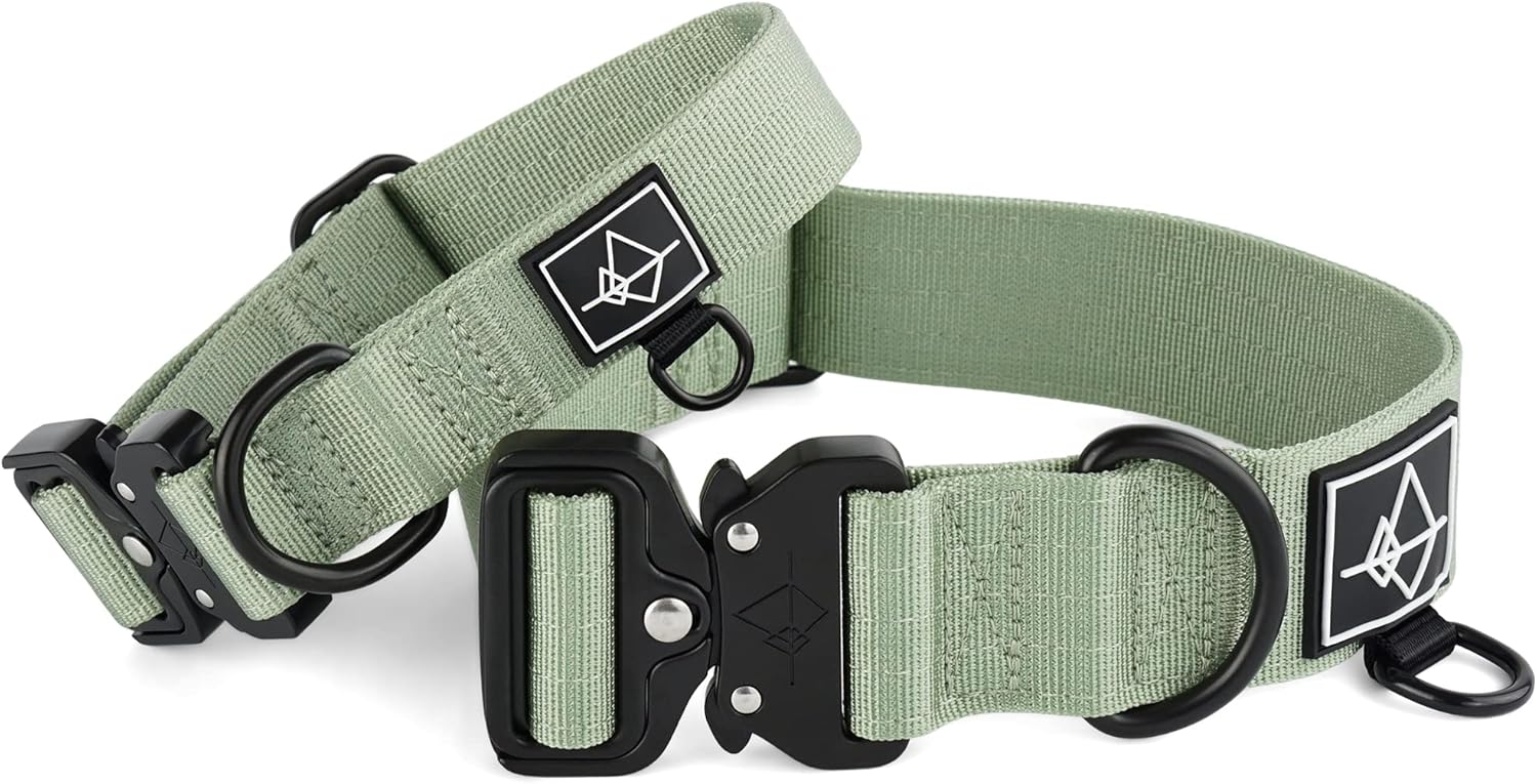 Made To ROAM Premium Dog Collar Adjustable Heavy Duty Nylon Collar With QuickRelease Metal Buckle Washington Rain Size 4 Main image