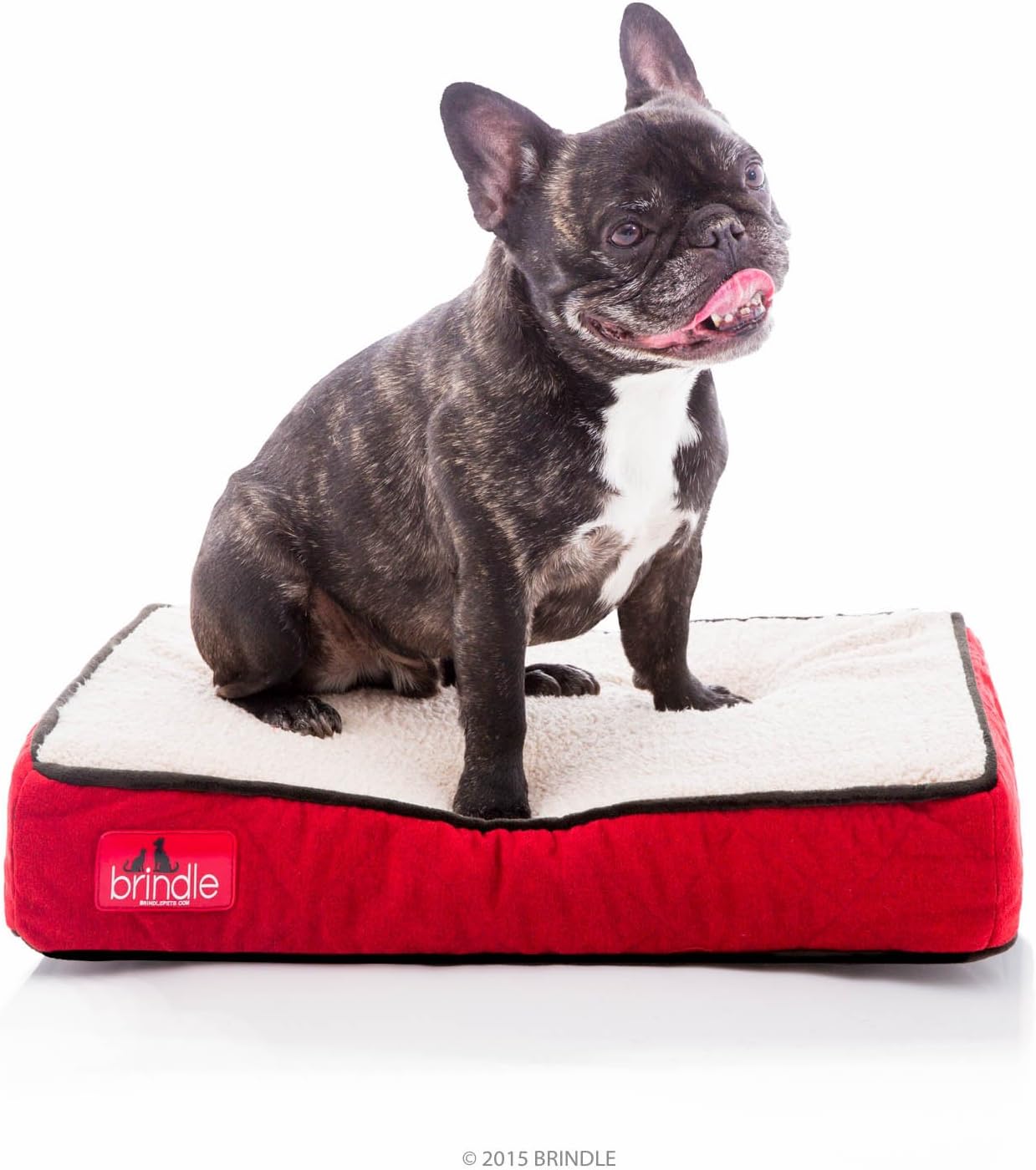 Brindle Designer Memory Foam Pet Bed 22.0in L X 16.0in W X 4.0in Th Red Sherpa Small Main image
