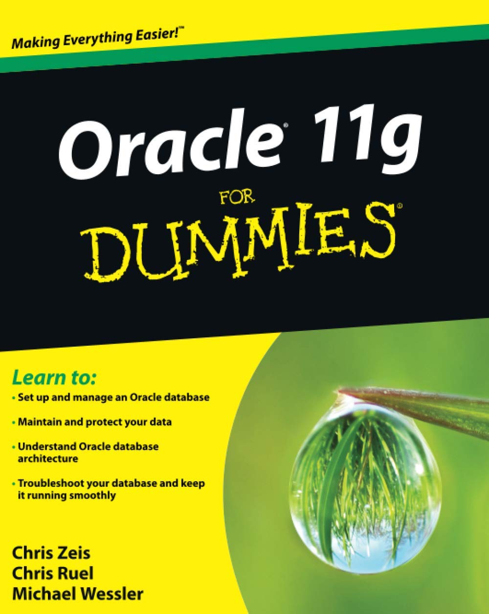 Oracle 11g For Dummies Paperback Main image