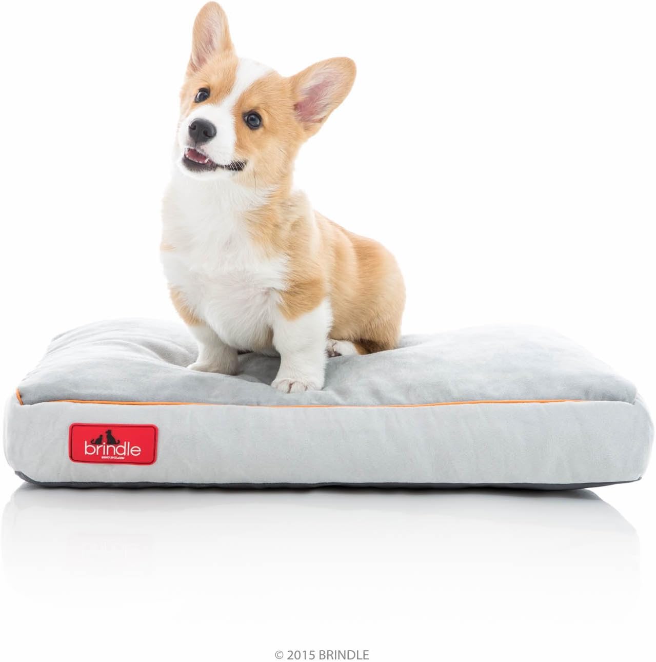 BRINDLE Shredded Memory Foam Pet Bed Small 22in X 16in Stone Plush Main image