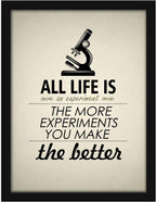 Poster Hub Life Is Like An Experiment Motivational Art Décor Black APLS1833040BK
