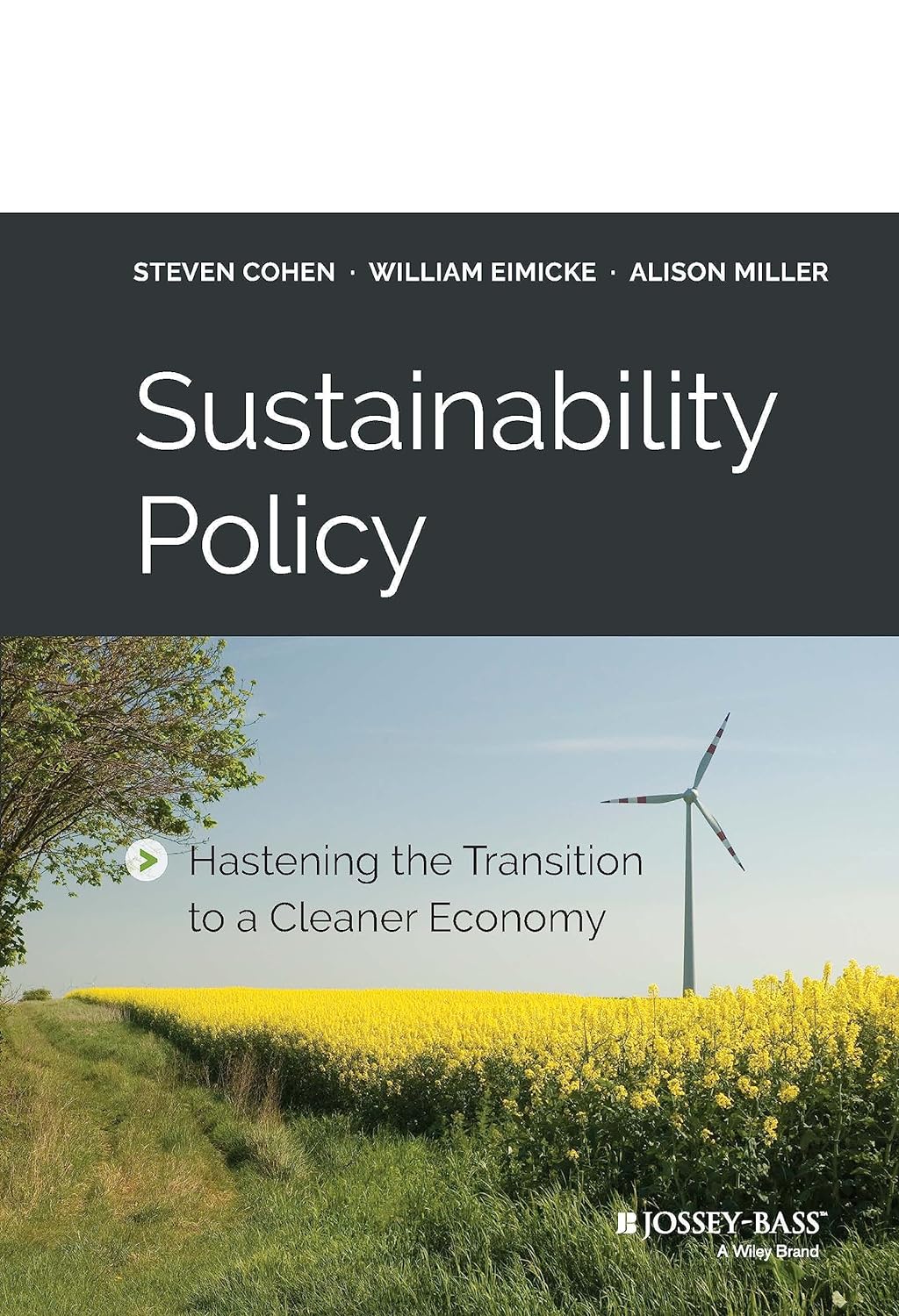 Sustainability Policy Hastening The Transition To A Cleaner Economy Hardcover Main image