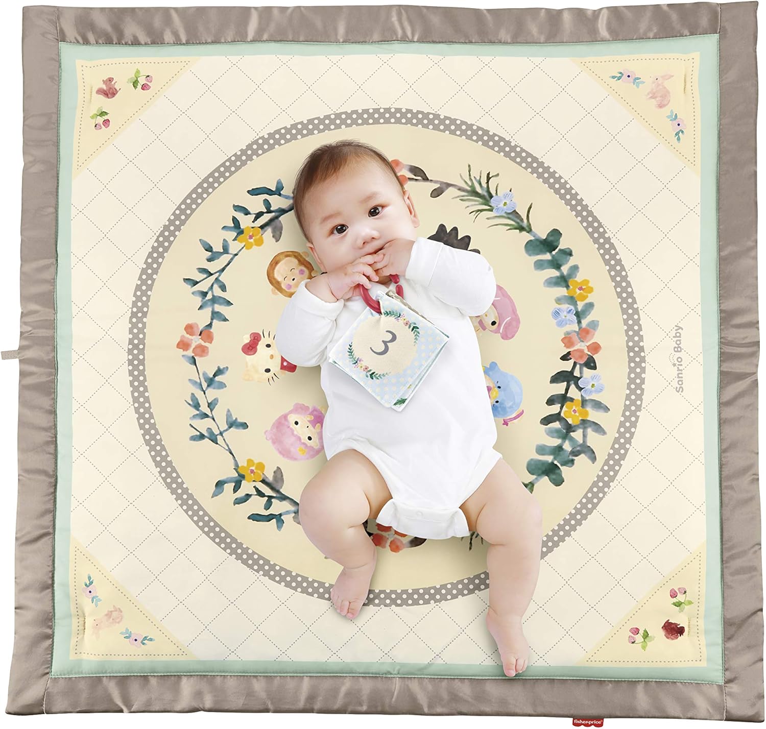 Fisher-Price GXC10 Hello & Kitty Baby Gym Playset